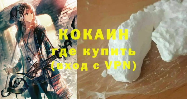 индика Верея