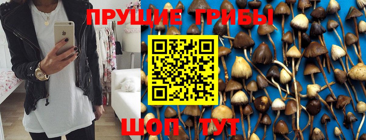 Галлюциногенные грибы прущие грибы  Вход с VPN  Псилоцибиновые грибы ЛСД  Кубинка 